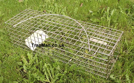 Pack of nine Trap Man grey squirrel traps �139.99 +del & vat, equivalent to �15.55 each
