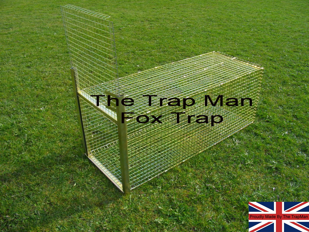 new fox trap in set position